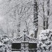 Neige4