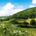 Campagne